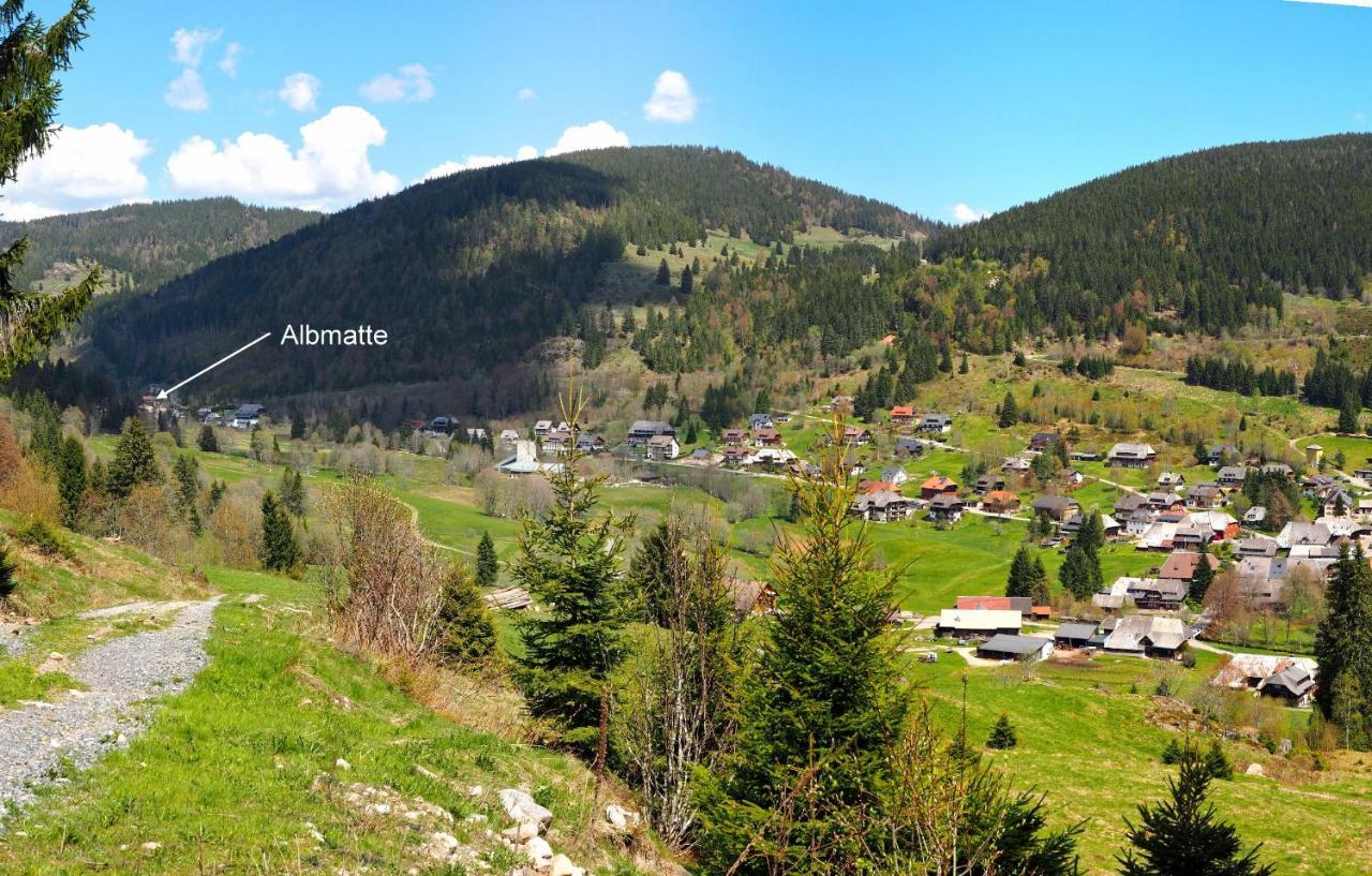 C2 Albmatte-Fewo , Hallenbad Aussenbecken Massagen Nebenan St. Blasien Exterior photo