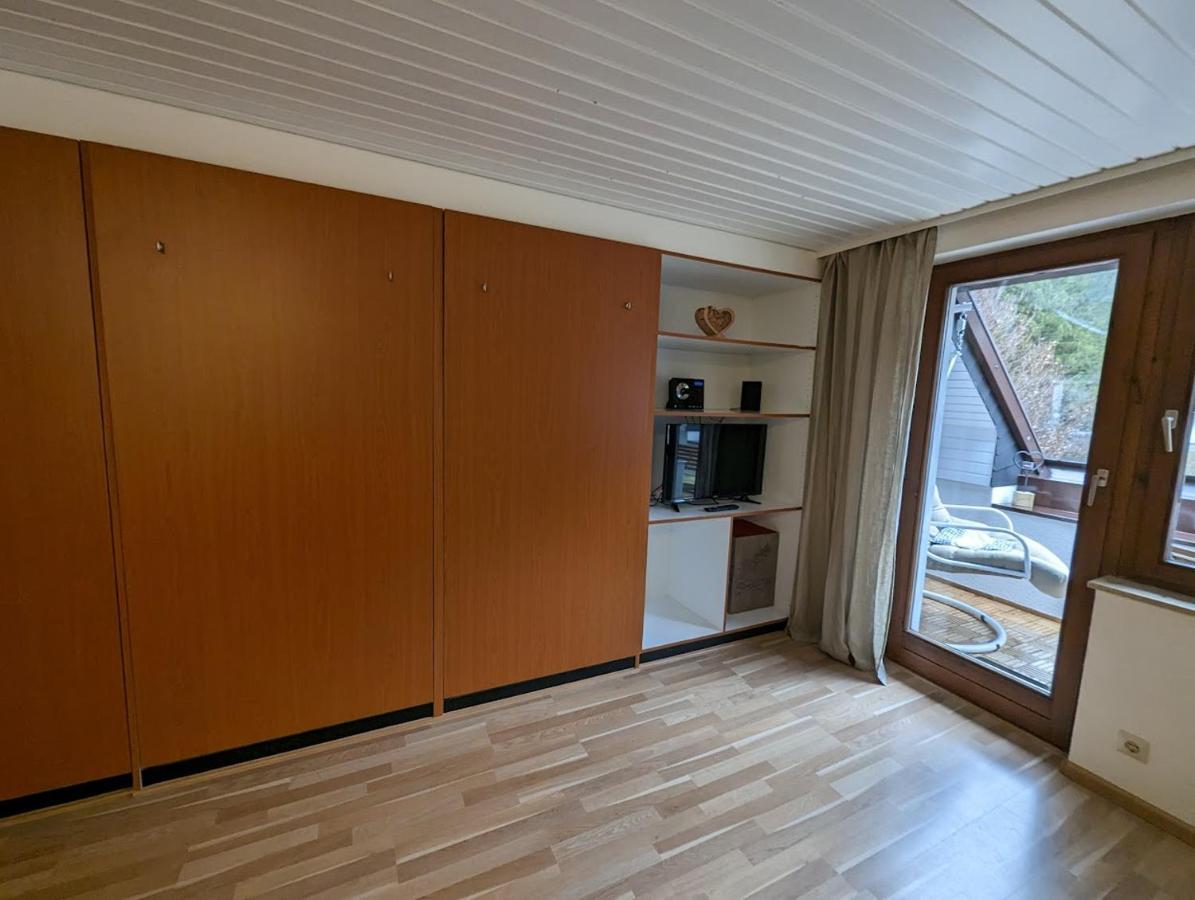 C2 Albmatte-Fewo , Hallenbad Aussenbecken Massagen Nebenan St. Blasien Exterior photo