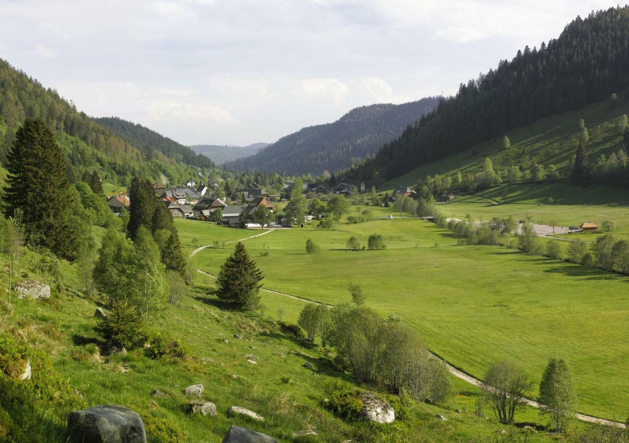 C2 Albmatte-Fewo , Hallenbad Aussenbecken Massagen Nebenan St. Blasien Exterior photo