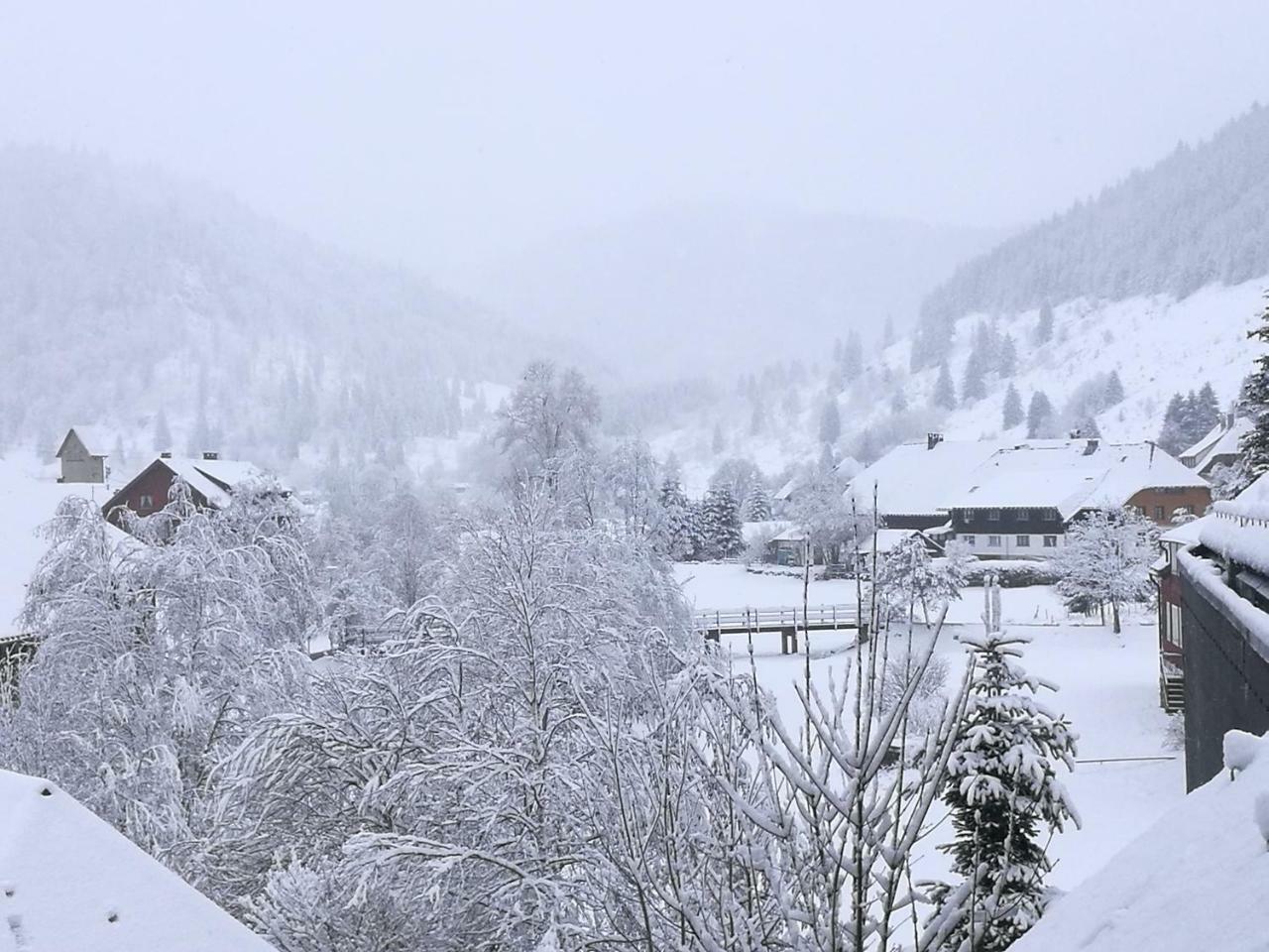 C2 Albmatte-Fewo , Hallenbad Aussenbecken Massagen Nebenan St. Blasien Exterior photo